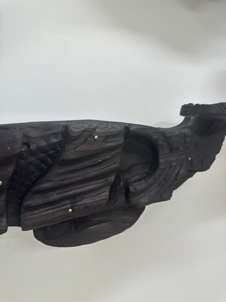 Kāhui Tohorā 5 no.3